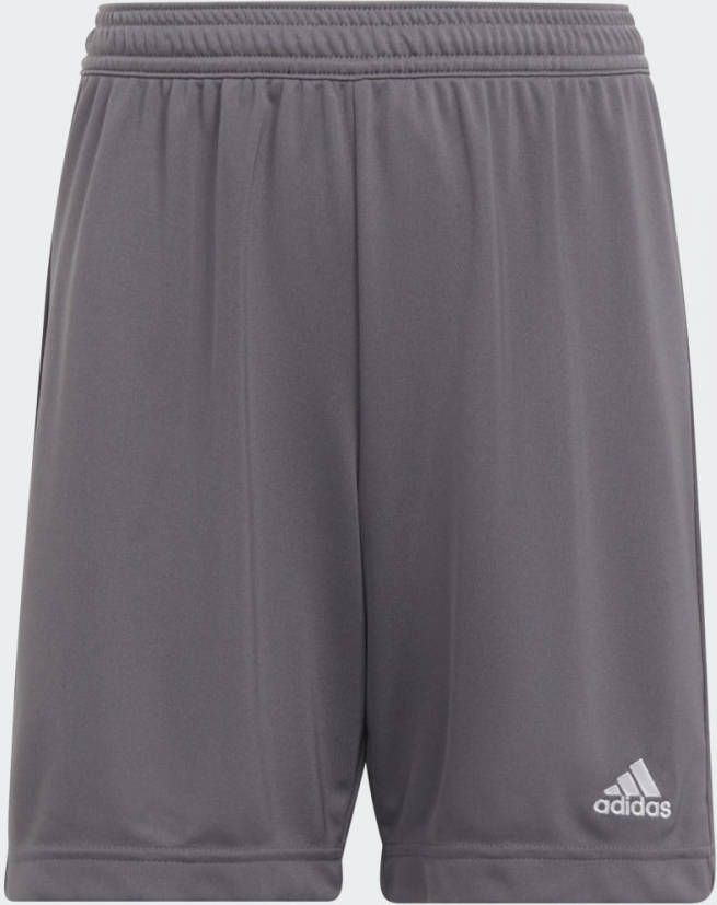 Adidas Kids adidas Entrada 22 Voetbalbroekje Kids Grijs Wit