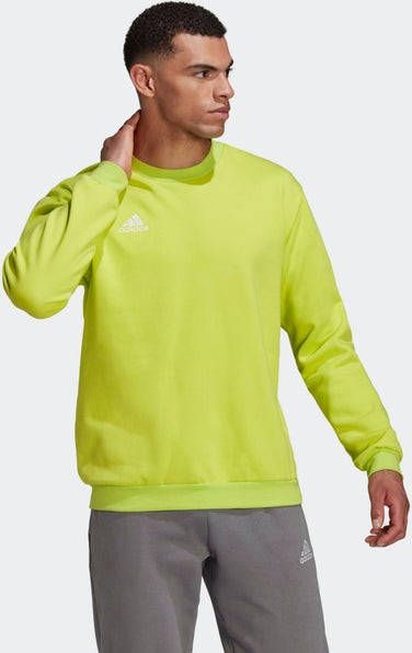 Adidas Truien & Vesten Groen Heren