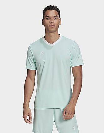 Adidas Entrada 22 Voetbalshirt Clear Mint Heren