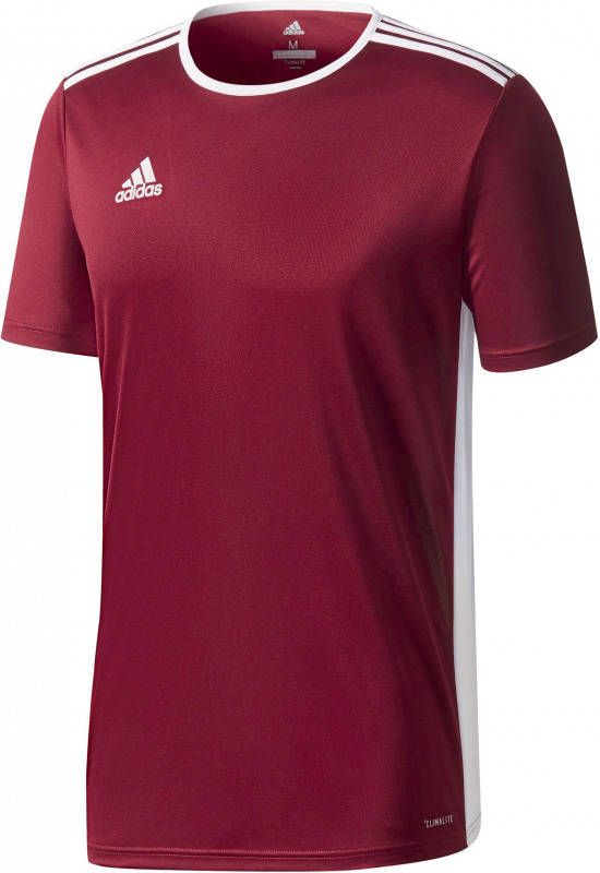 Adidas T shirt Korte Mouw Entrada 18 Jersey
