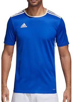 Adidas Performance sport T shirt Entrada blauw