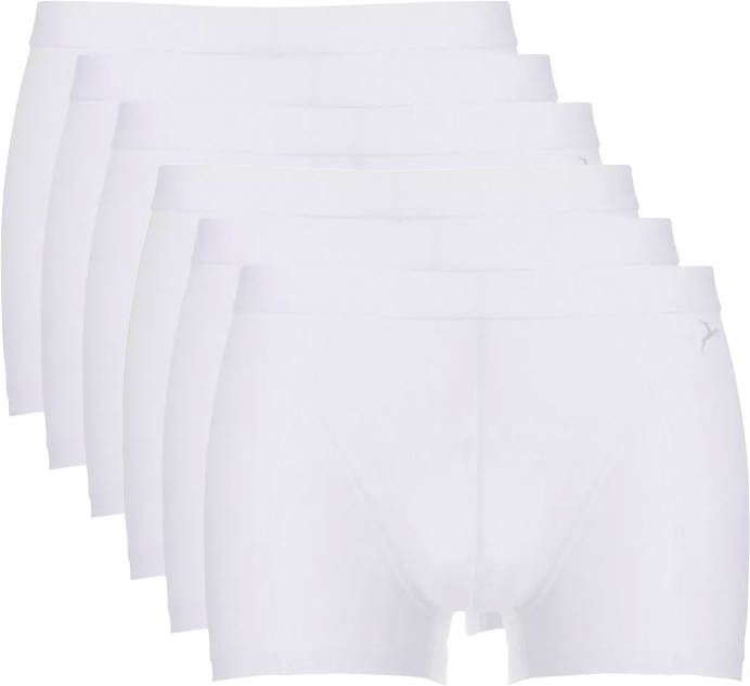 Ten Cate 6 pack horty